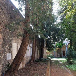 Meet your Posher, Veronica